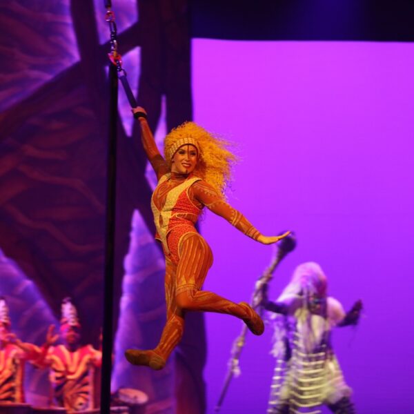 Sangles aériennes, artiste de cirque, artiste en mouvement, artistique, chorégraphe, création