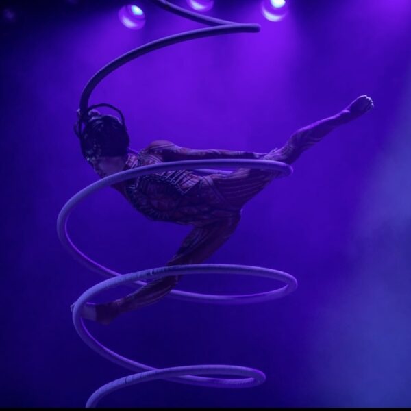 Sangles aériennes, artiste de cirque, artiste en mouvement, artistique, chorégraphe, création